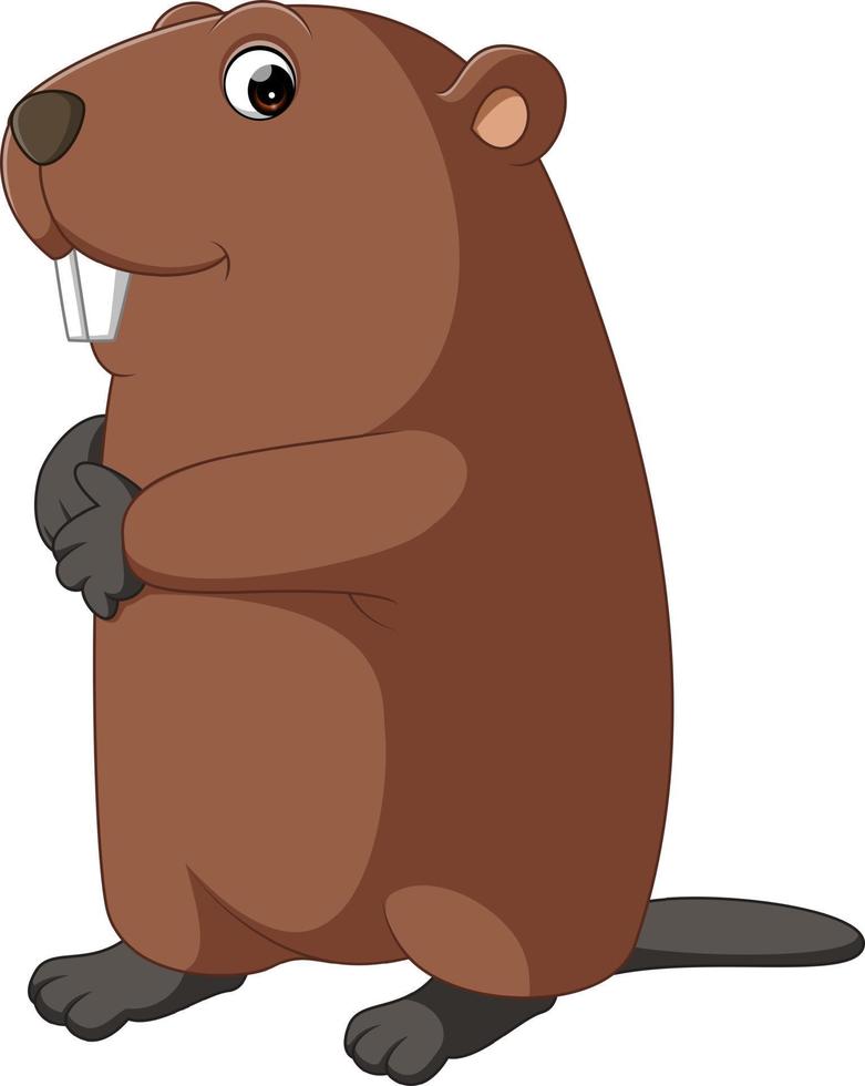 cute beaver cartoon vector