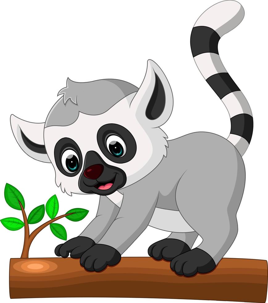 cute lemur cartoon vector