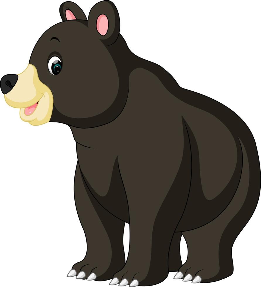 divertido, oso, caricatura vector