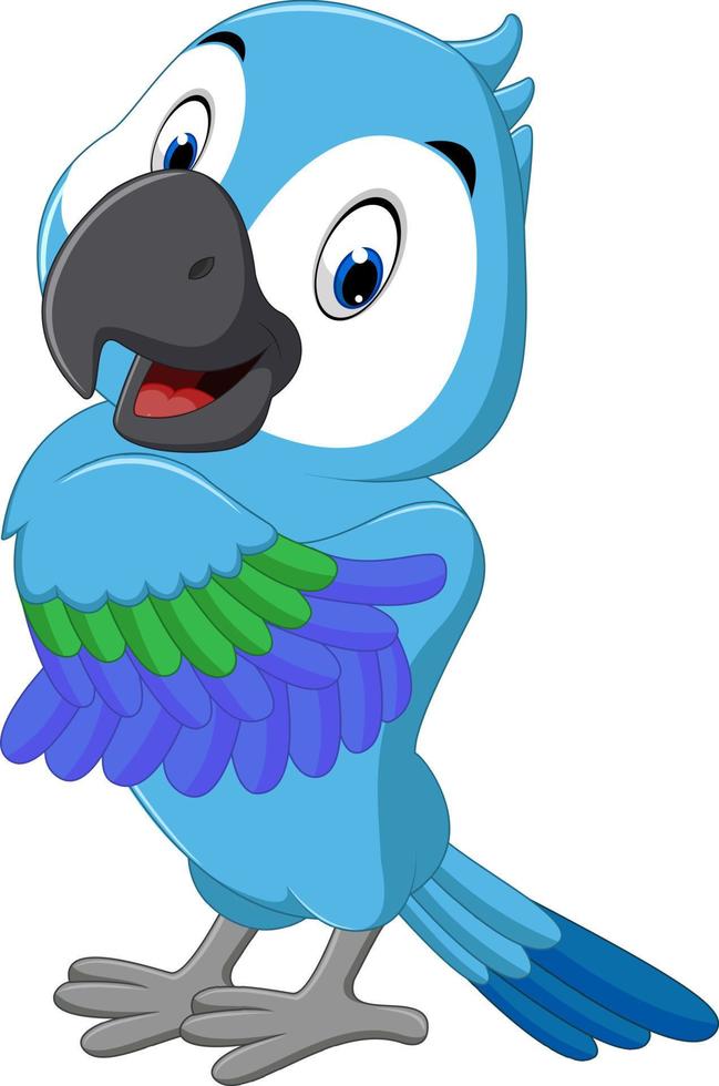 illustration of cute macaw cartoon vector