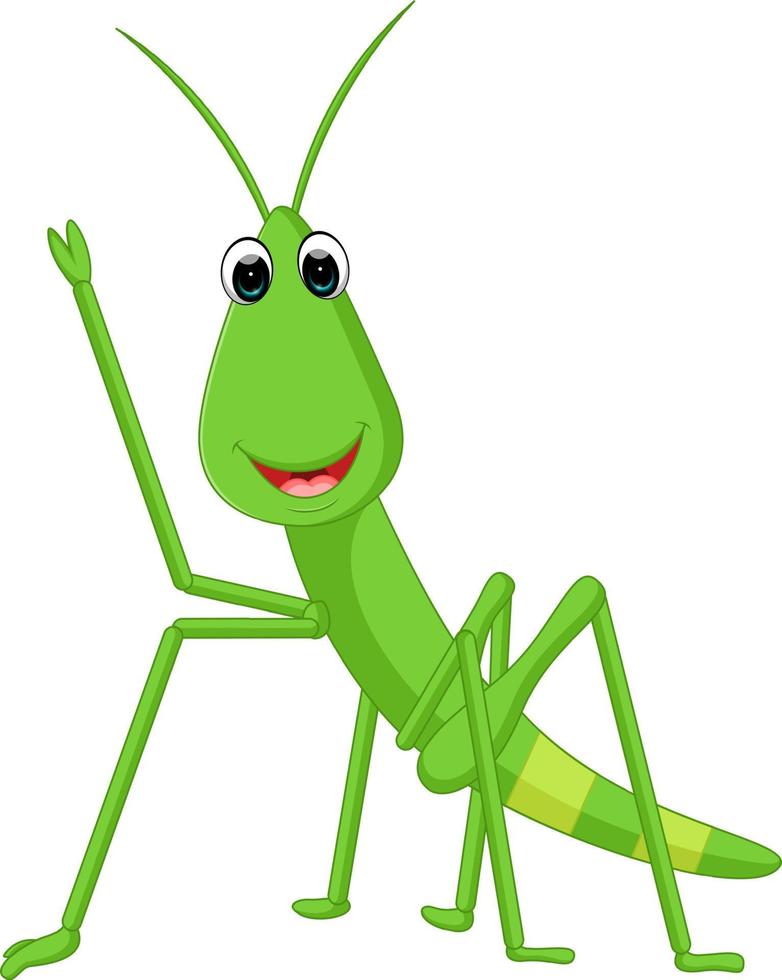 Praying mantis grasshopper cartoon vector