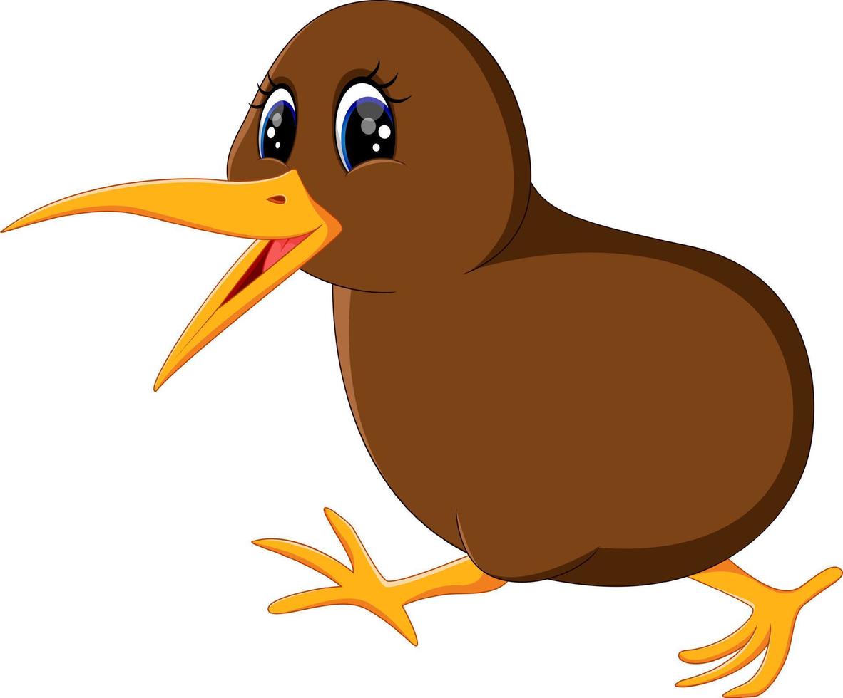 Illustration of a close up kiwi bird vector