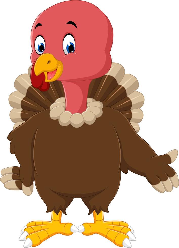 turkey bird cartoon vector