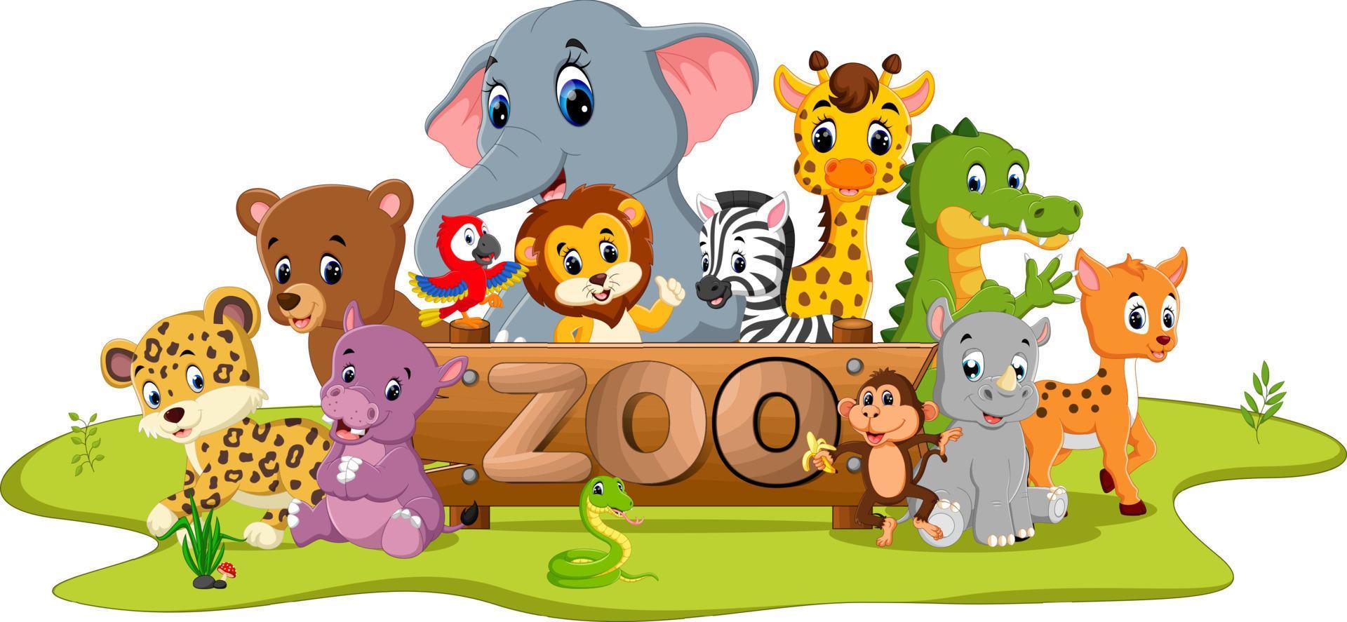 collection of zoo animals 7916515 Vector Art at Vecteezy