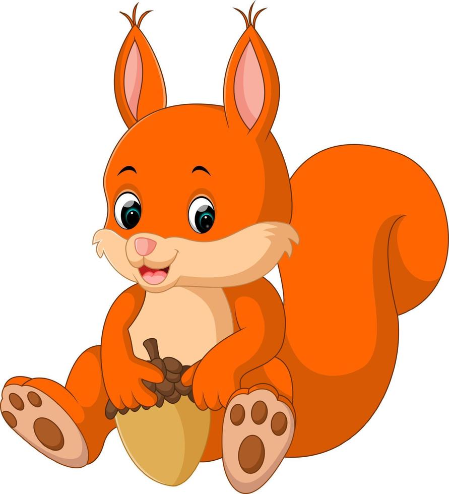 Cute squirrel cartoon vector