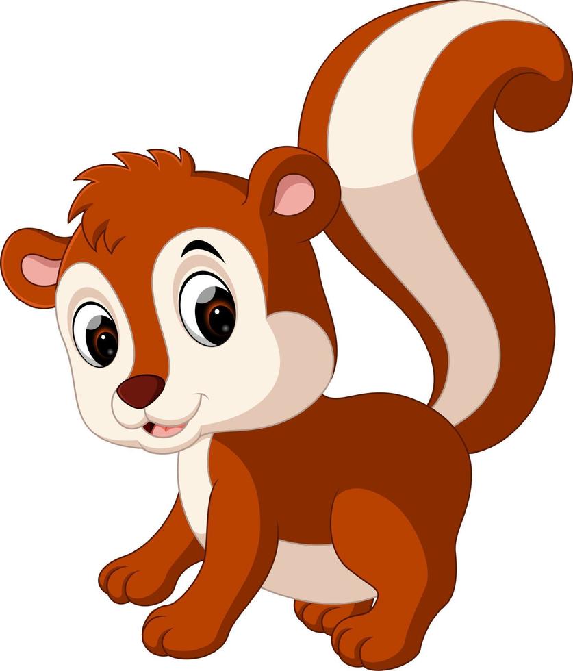 Cute squirrel cartoon vector