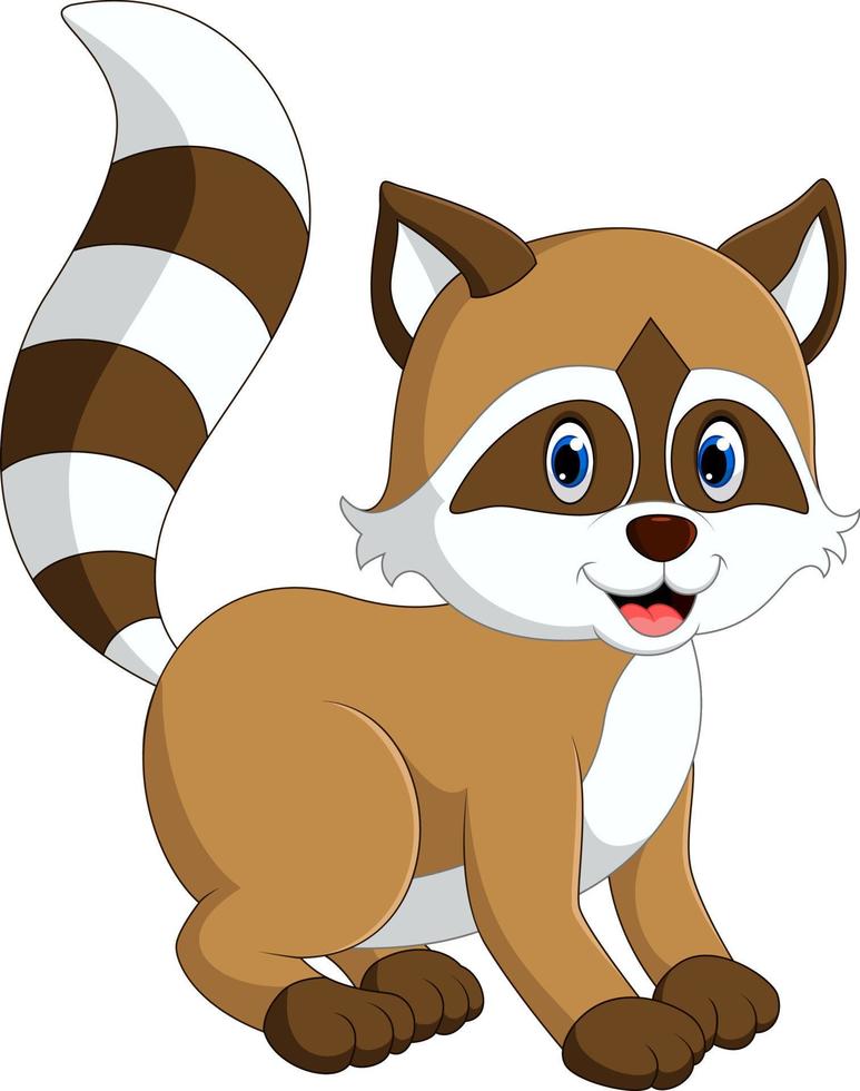 baby raccoon cartoon vector