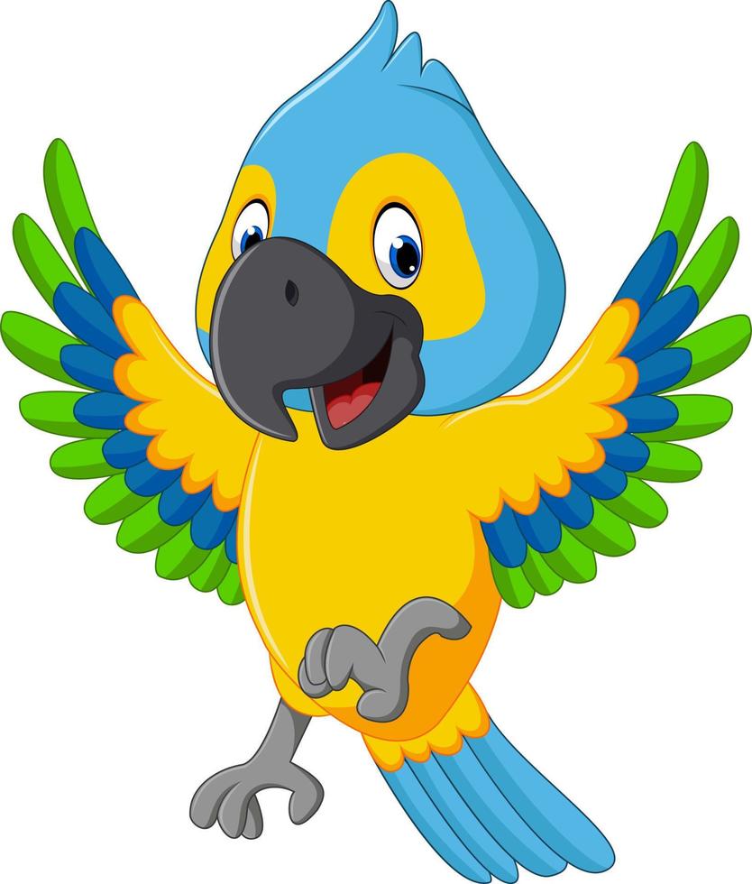 ilustración de dibujos animados lindo guacamayo vector