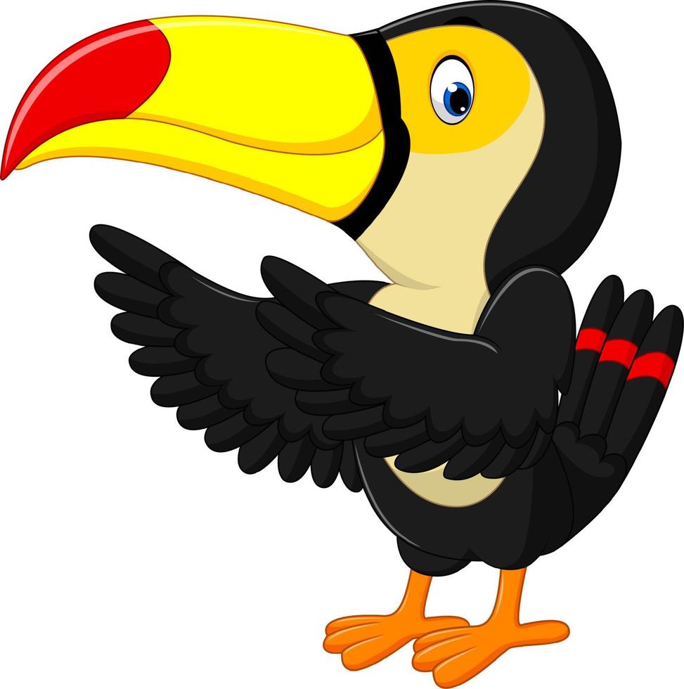 Cartoon happy bird toucan vector