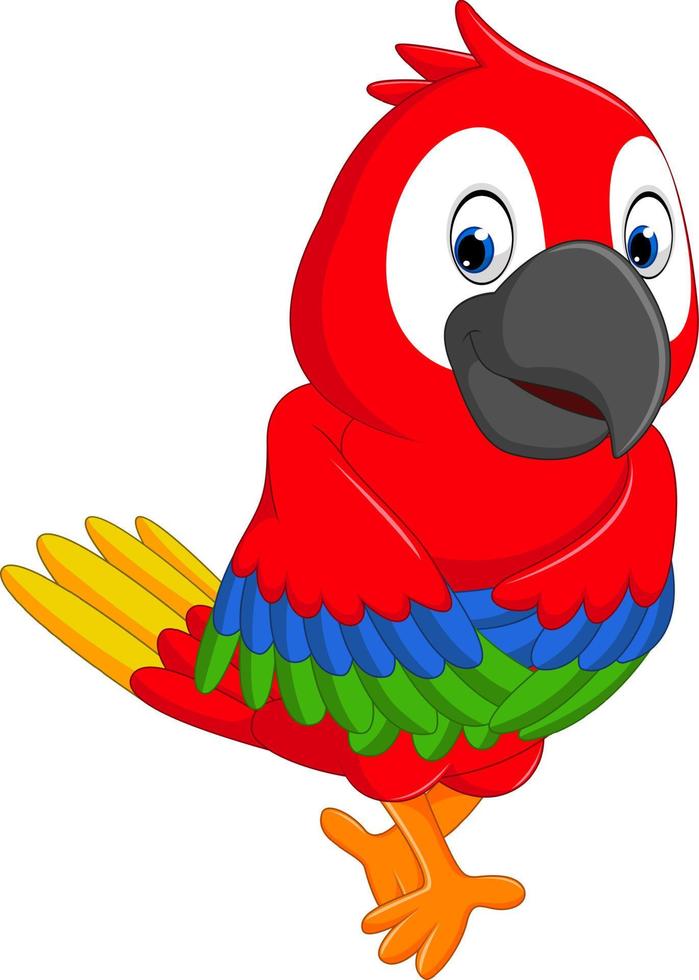 illustration of cute macaw cartoon vector