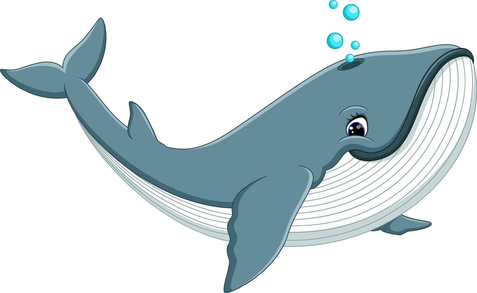 illustration of Cute whale cartoon vector