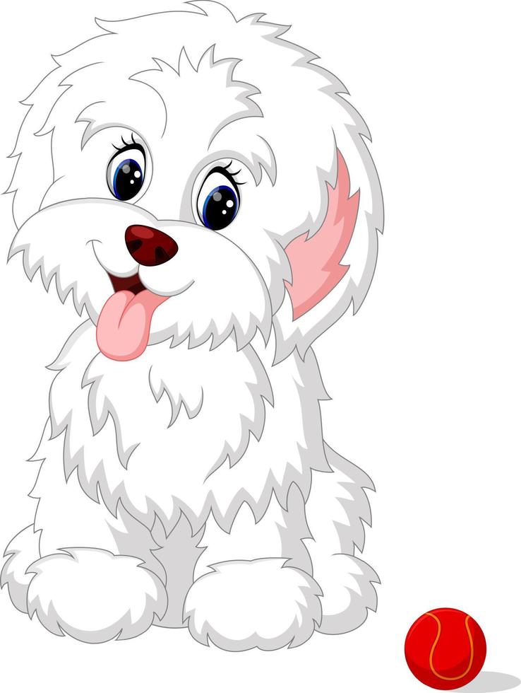 Cute white lap-dog puppy posing vector