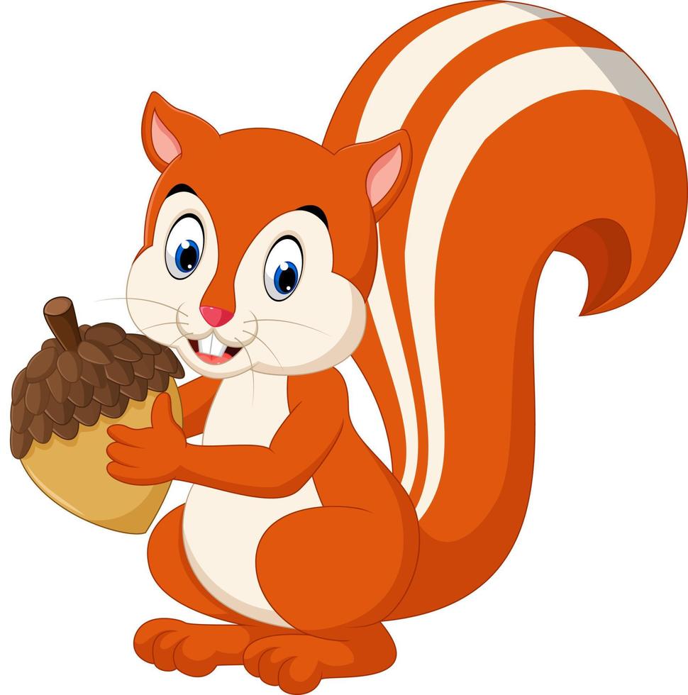 Cute squirrel cartoon vector