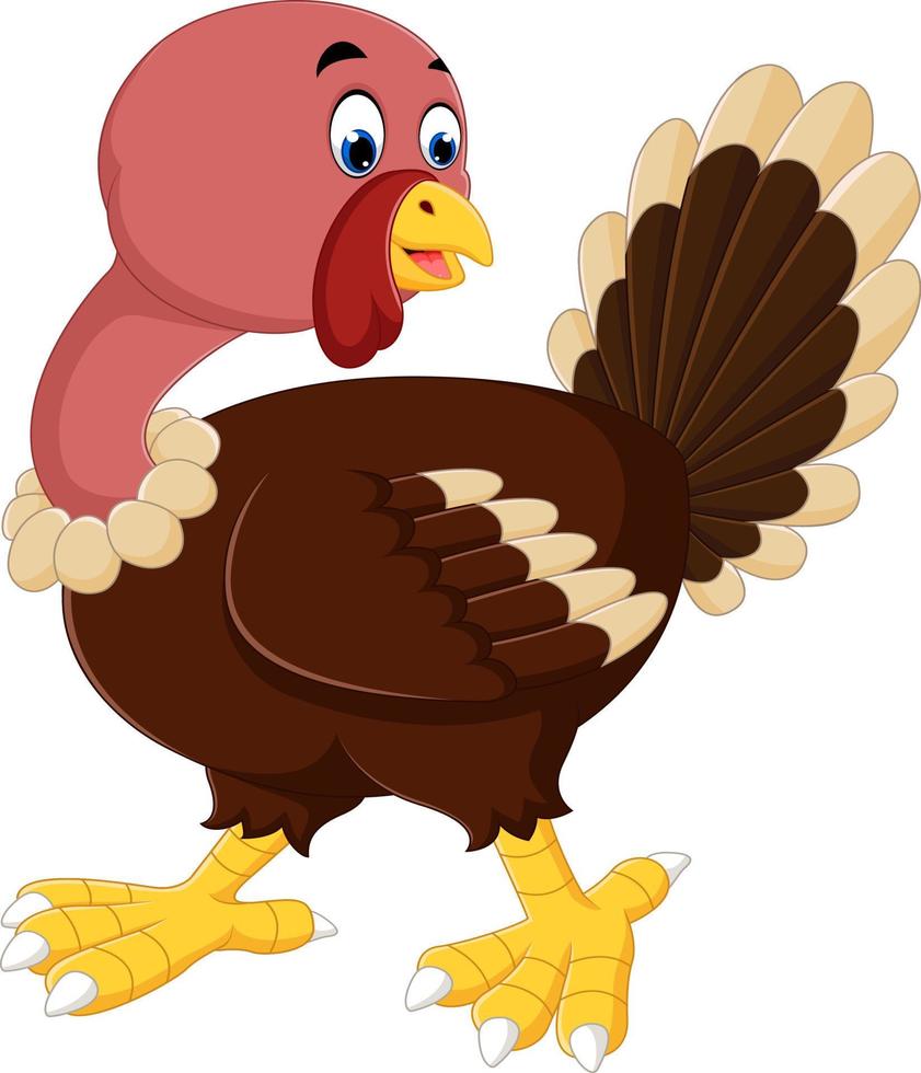 turkey bird cartoon vector