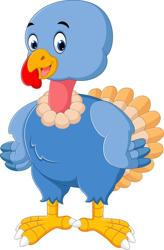 turkey bird cartoon vector