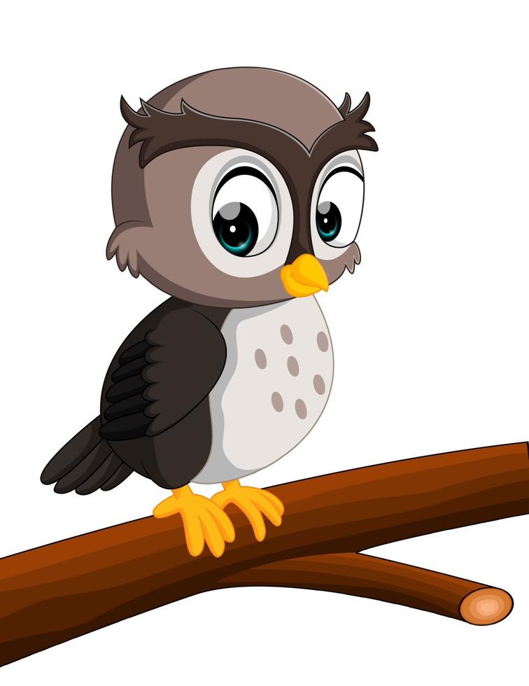 cute owl cartoon vector