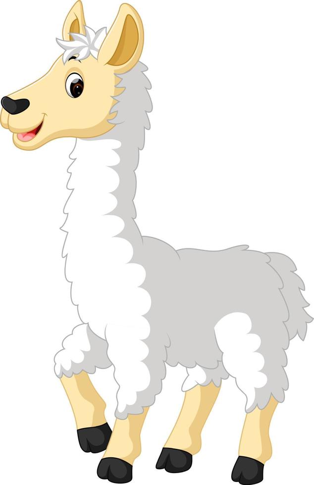 Llama cute cartoon vector