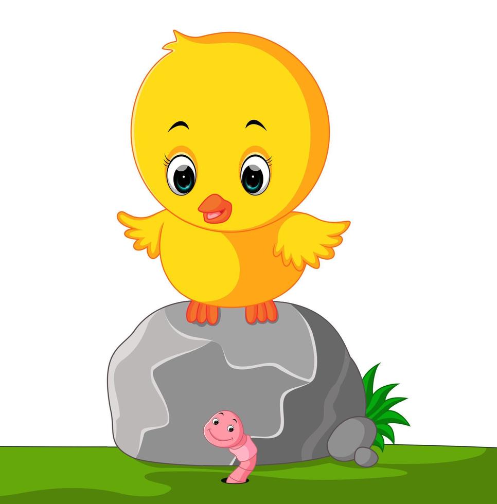 Cute chicken cartoon vector