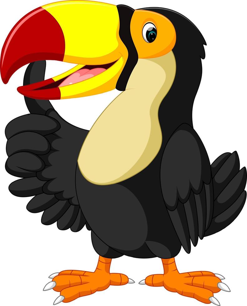 Cartoon happy bird toucan vector