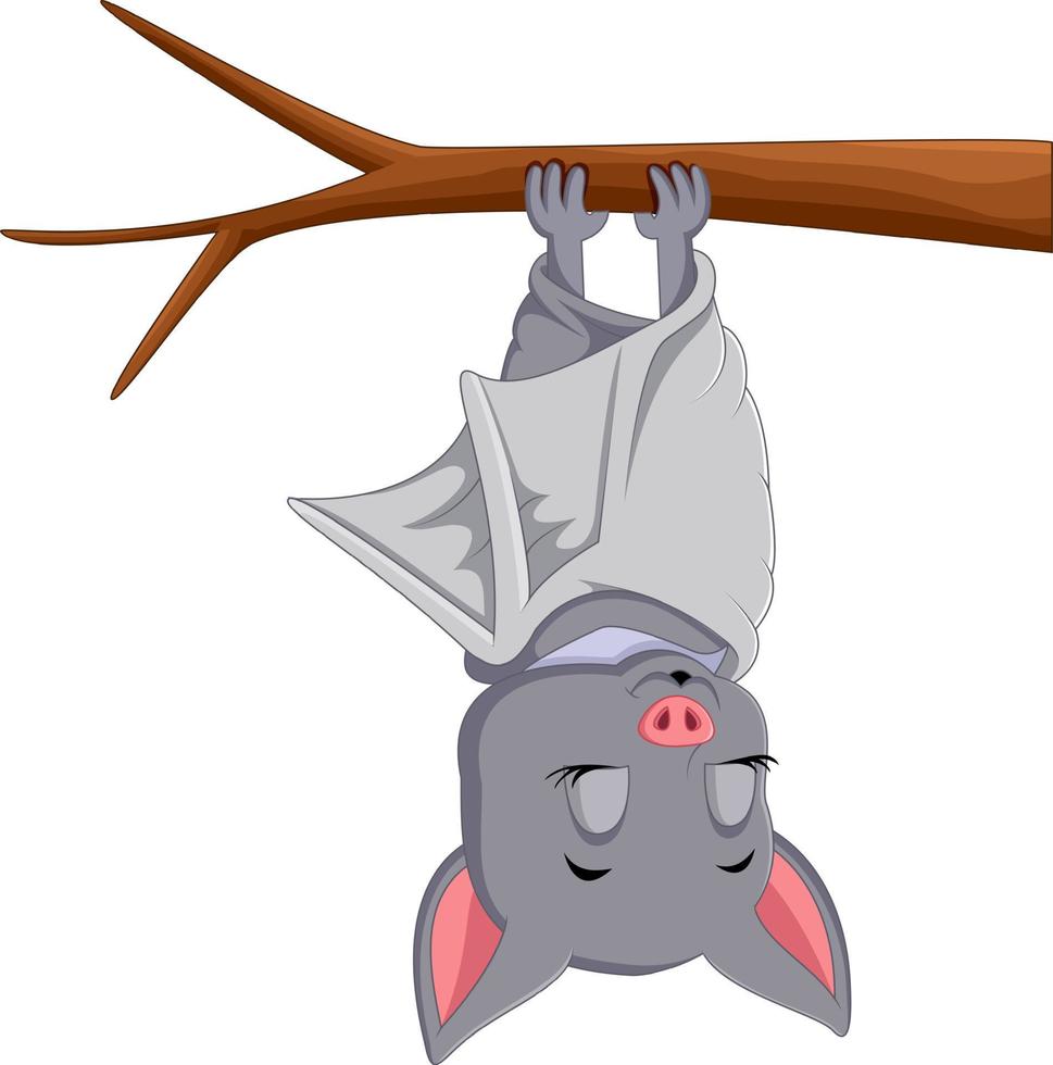 Cute bat cartoon sleeping vector
