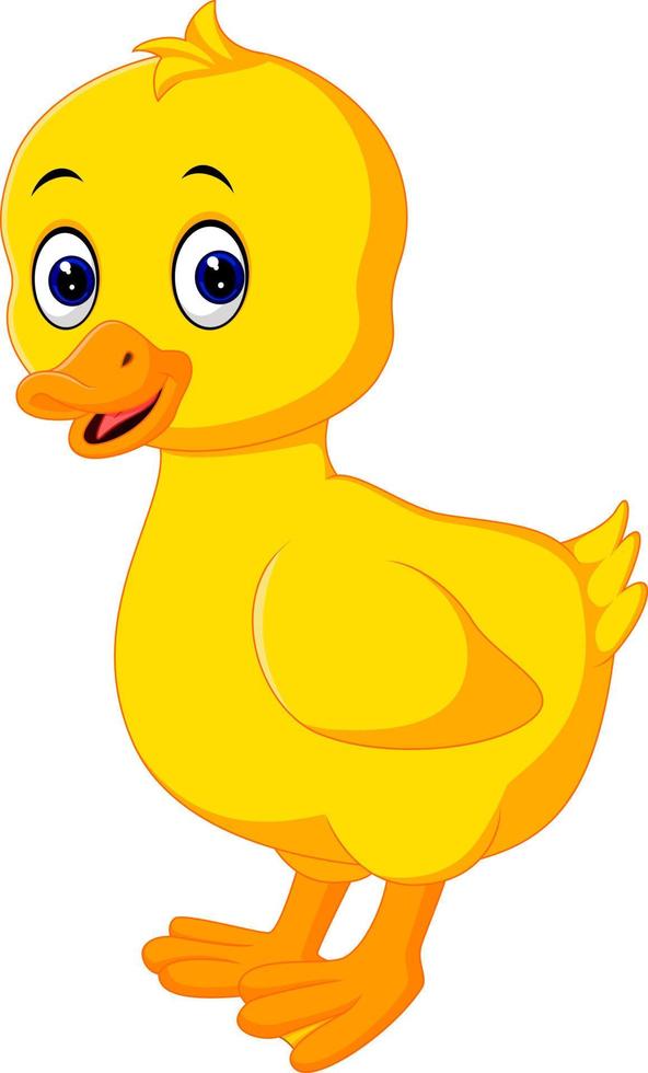 Cute baby duck cartoon vector