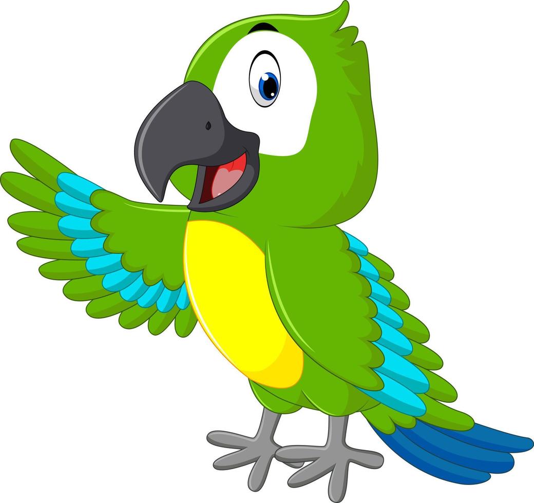 ilustración de dibujos animados lindo guacamayo vector