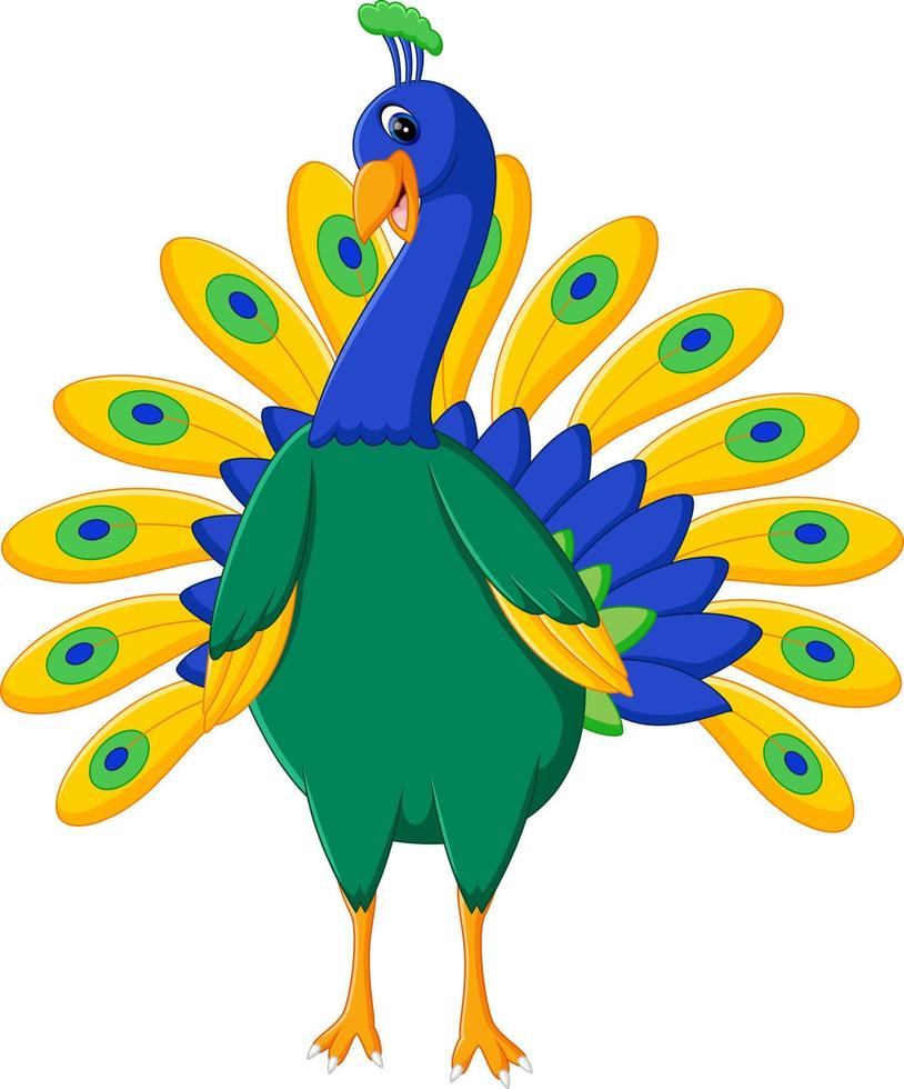 ilustración de dibujos animados lindo pavo real vector