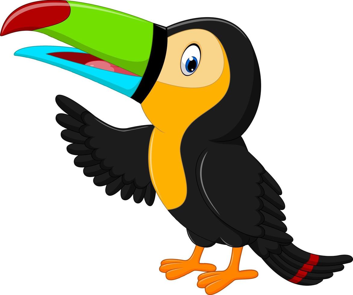 Cartoon happy bird toucan vector