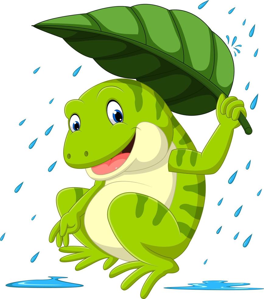 frog under leaf vector