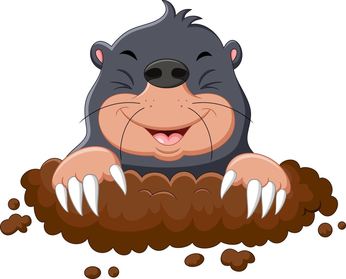 Cartoon cute mole vector