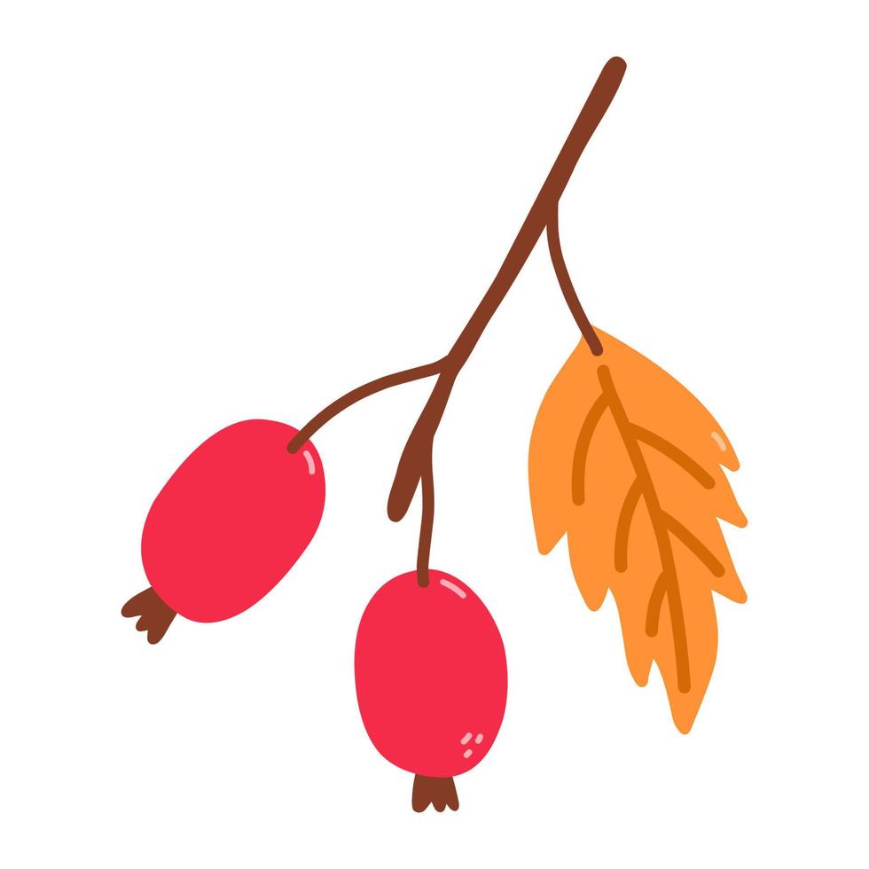Sprig with rose hips and leaves isolated on white background. Vector hand-drawn illustration in cartoon flat style. Perfect for your project, cards, logo, decorations.
