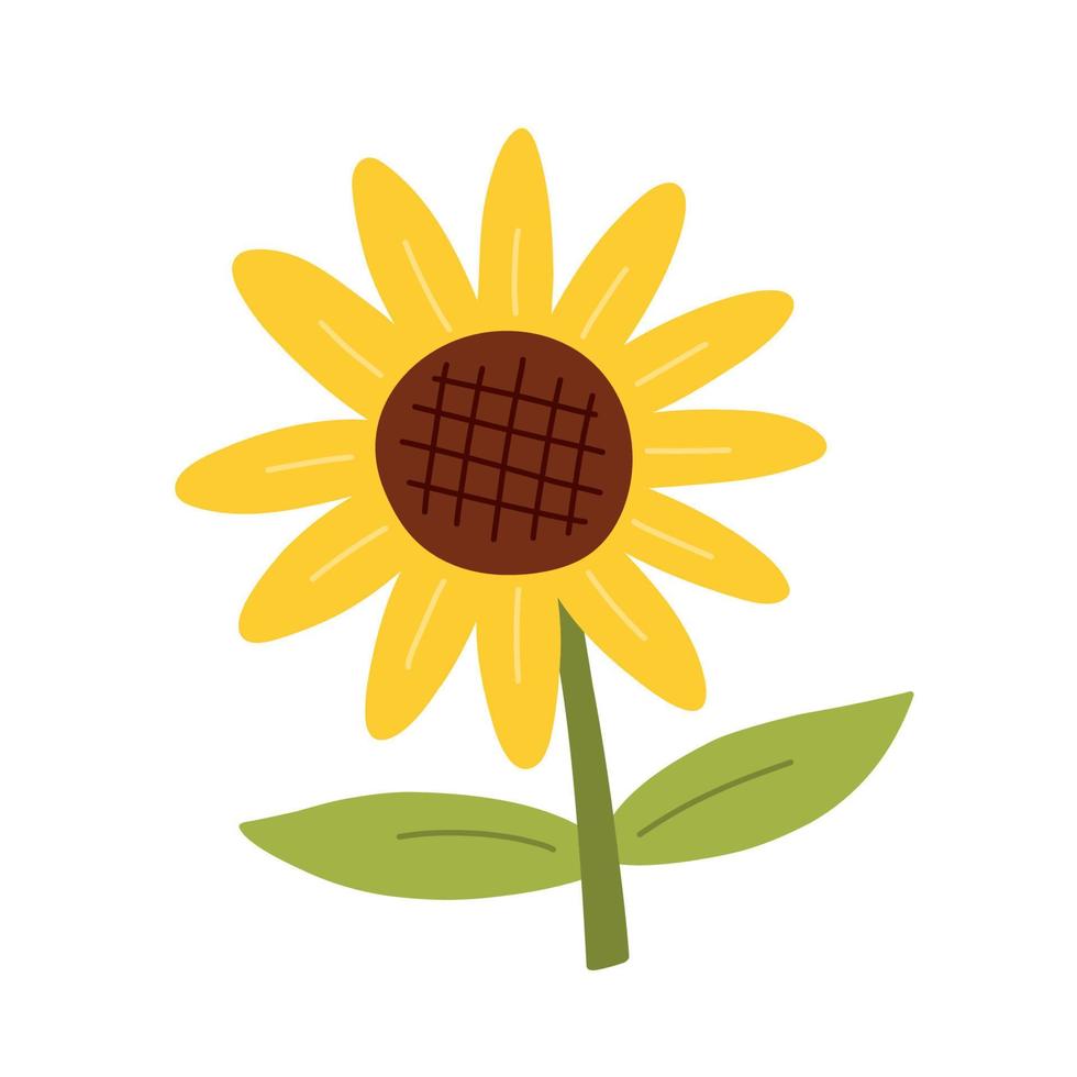 Cute yellow sunflower with leaves isolated on white background. Vector illustration in hand-drawn flat style. Perfect for cards, logo, decorations, spring and summer designs. Botanical clipart.