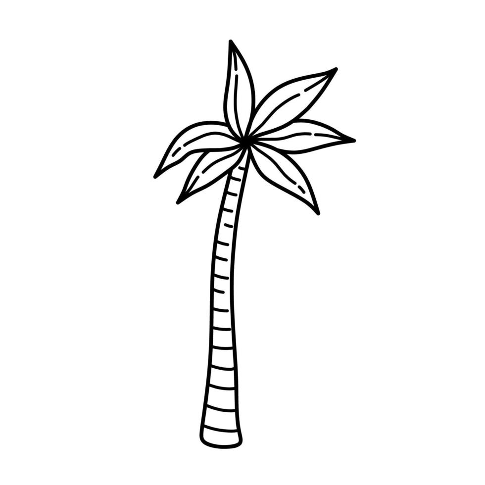 palmera aislada sobre fondo blanco. ilustración vectorial dibujada a mano en estilo garabato. perfecto para diseños de verano, tarjetas, logotipos, decoraciones. vector