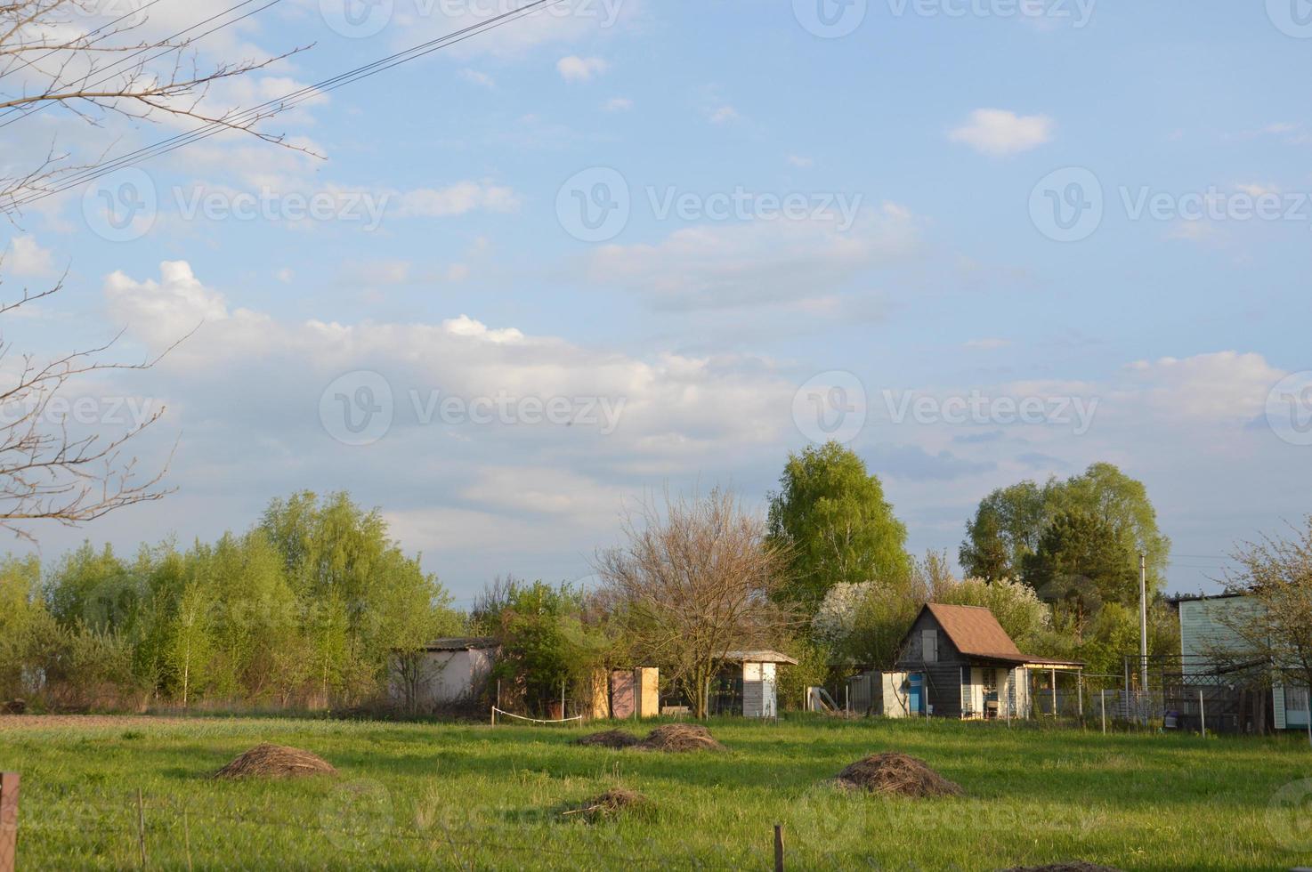 Panorama of the garden in the village in spring photo