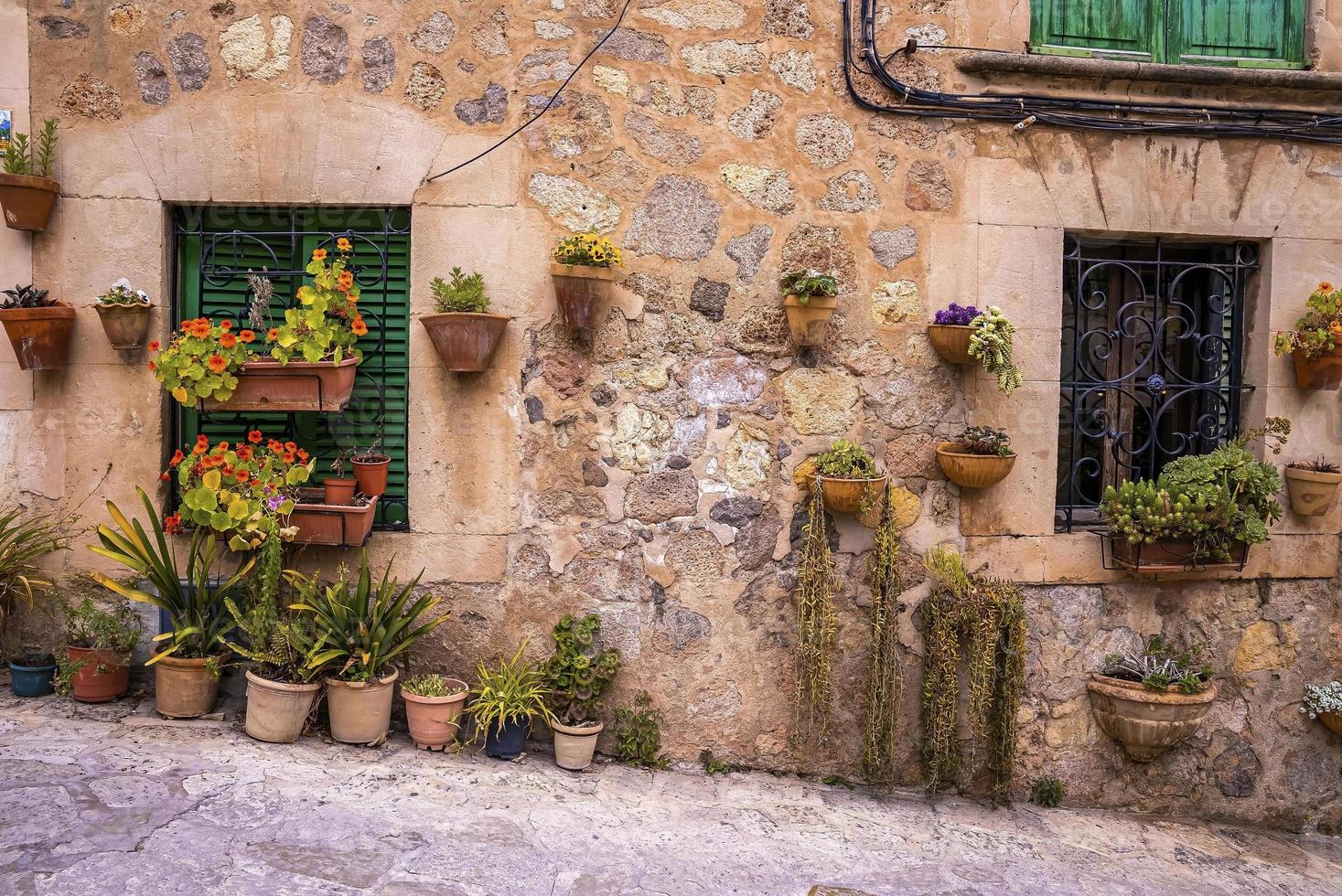 Potted plants decorated against closed windows of old house in historic town photo