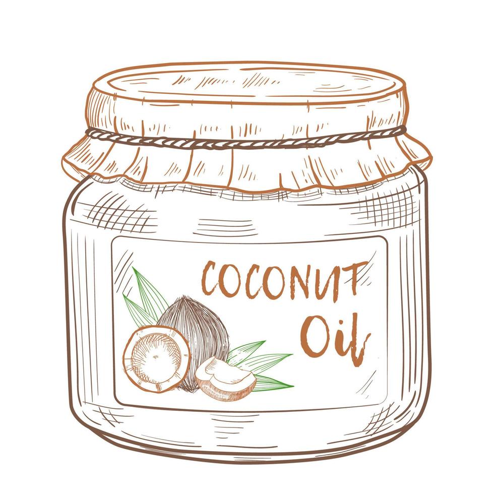 aceite de coco en un frasco de vidrio con etiqueta. ingredientes de cocina y belleza. ilustración dibujada a mano vectorial para menú, banner, logotipo. vector