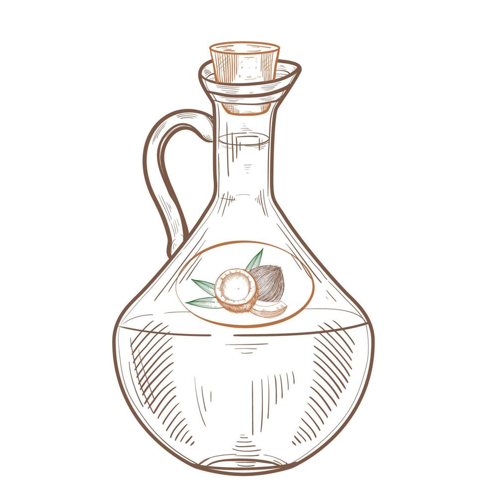 Bottle of coconut oil.  Cooking and beauty ingredient. Glass pitcher with label Vector Hand drawn illustration for menu, banner, logo.