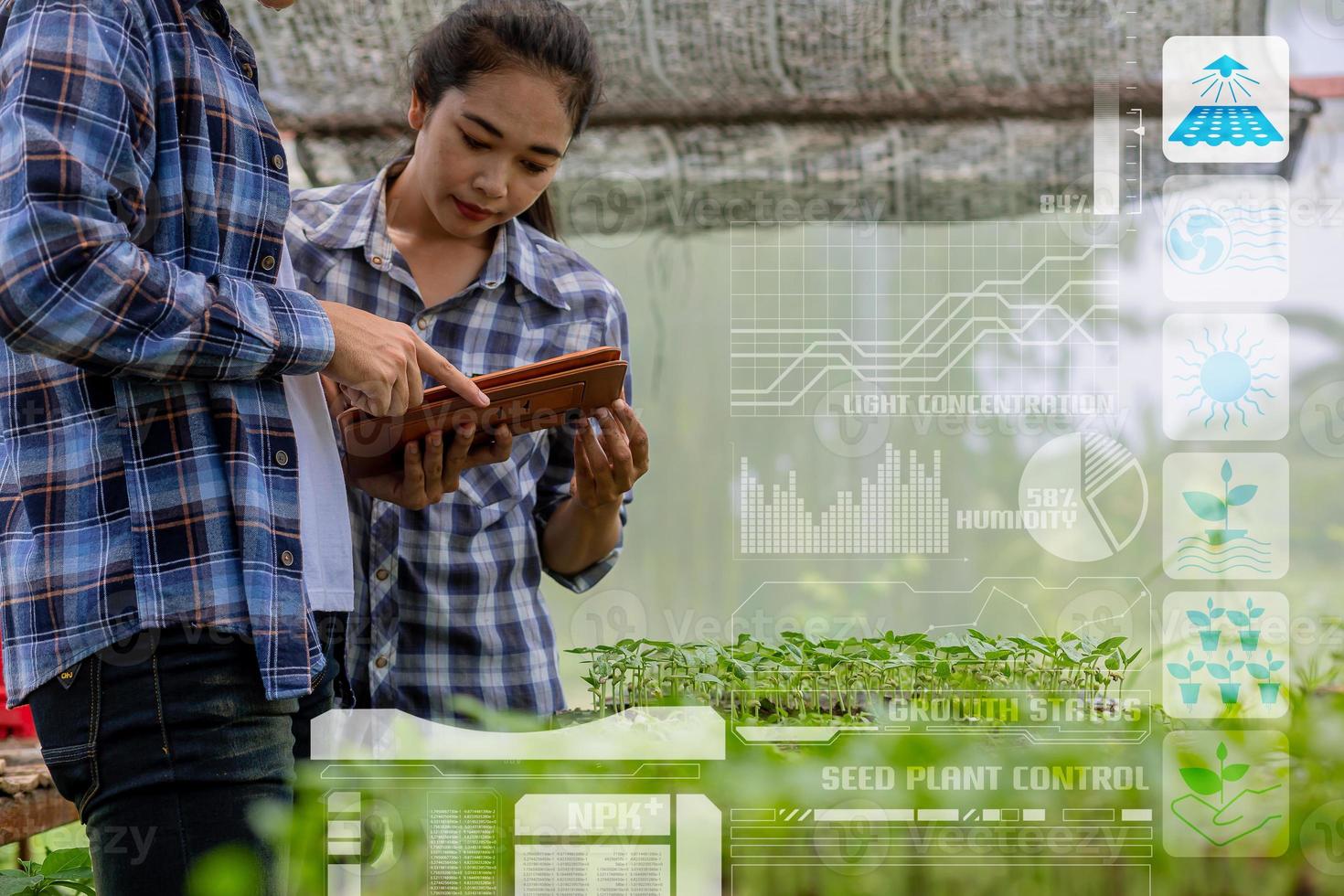 agricultor, propietario de una granja de hortalizas orgánicas en el invernadero inspecciona la calidad de las hortalizas orgánicas jóvenes para el próximo paso con tecnología infográfica. foto