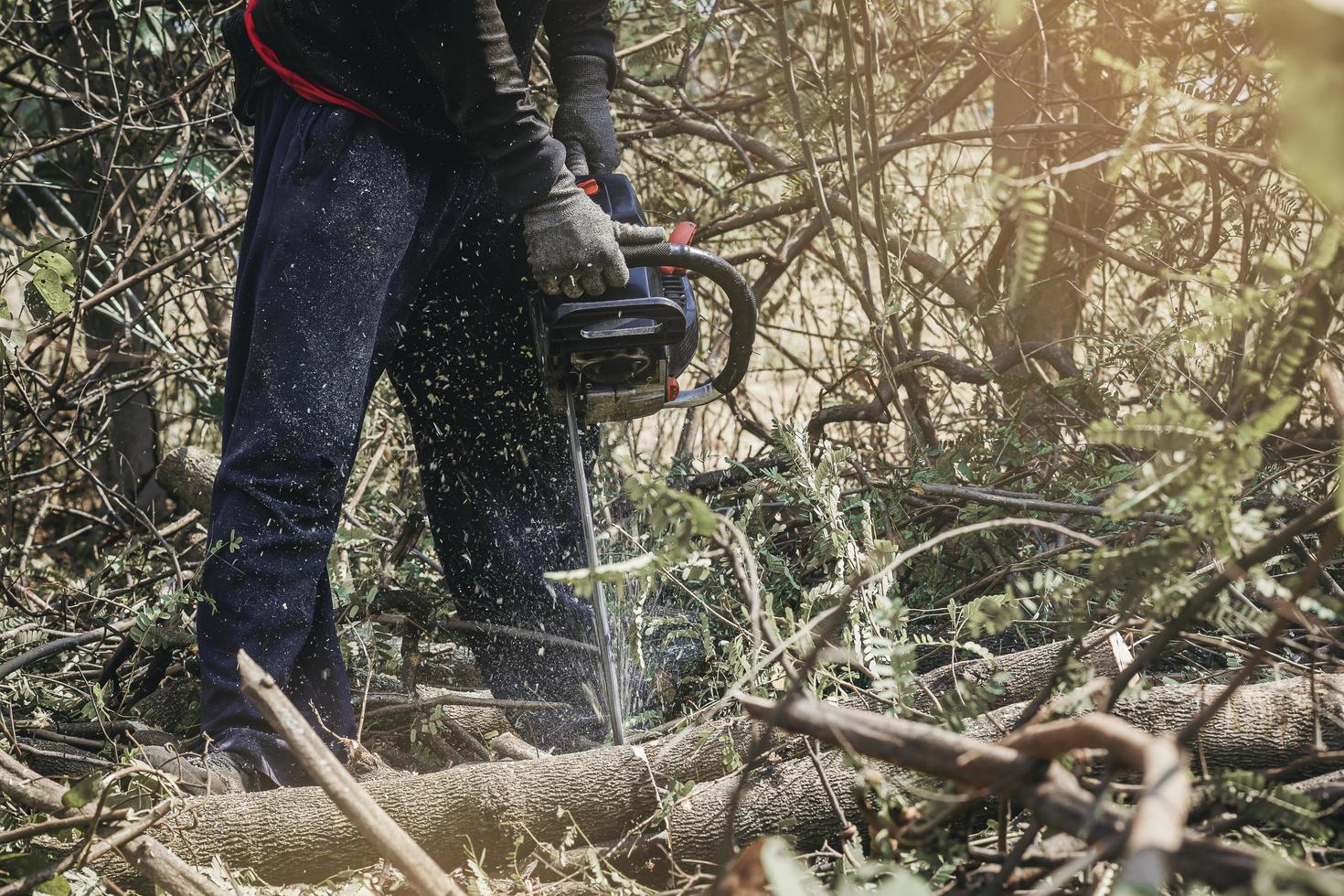 Worker using chainsaw for cutting down the tree. Deforestation, forest cutting concept. photo