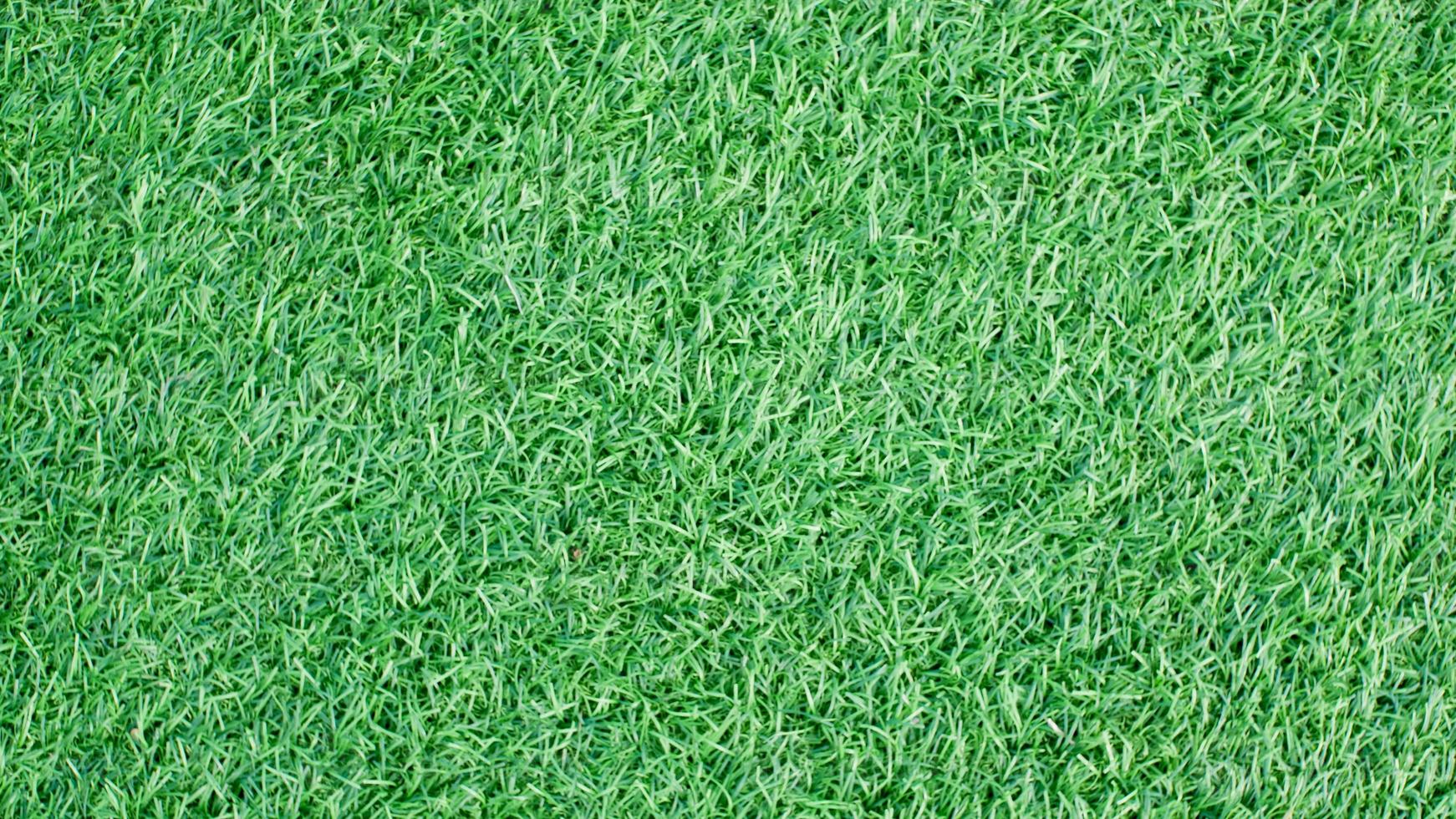 green grass texture background with copy space photo