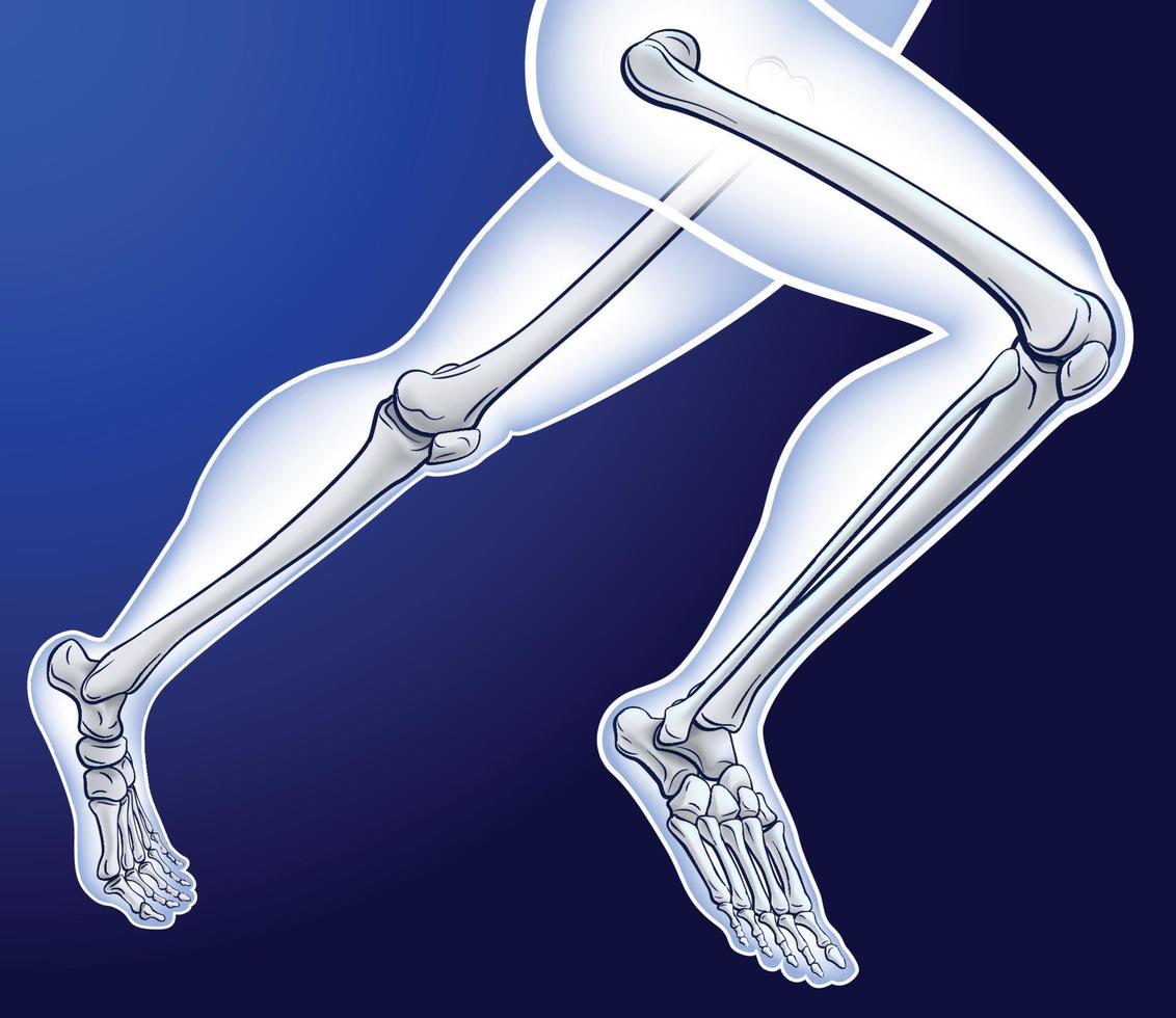 3D illustration of running man with skeleton from ankle to toe on dark blue background. vector