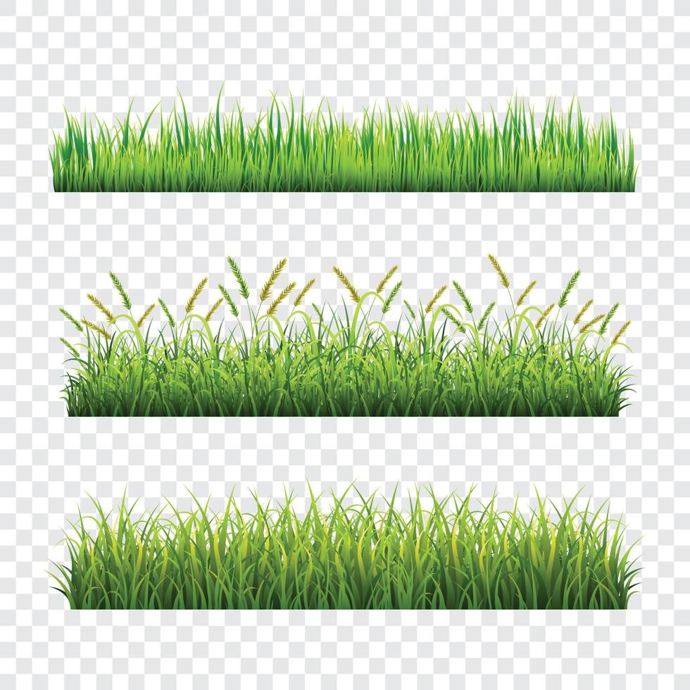 conjunto de plantillas de hierba verde vector