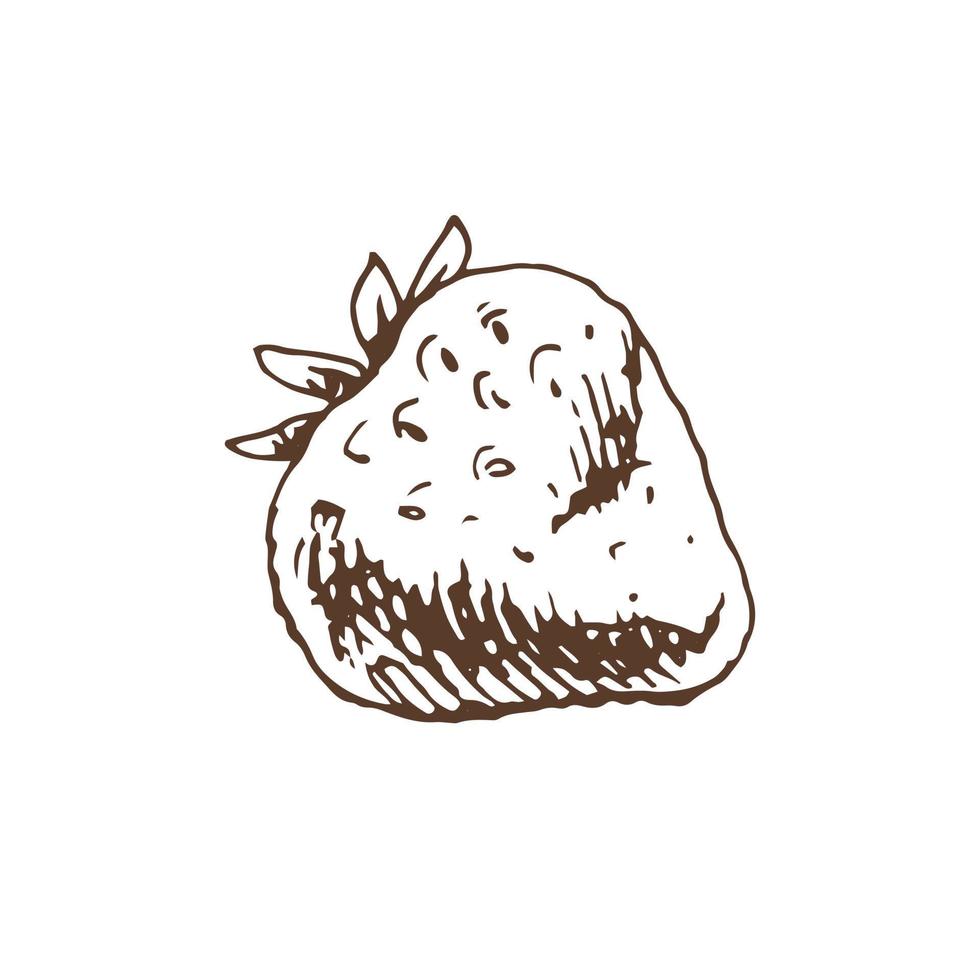 Vector  sketch of fresh organic strawberry. Hand drawn  illustration.  Great for label, poster, print.