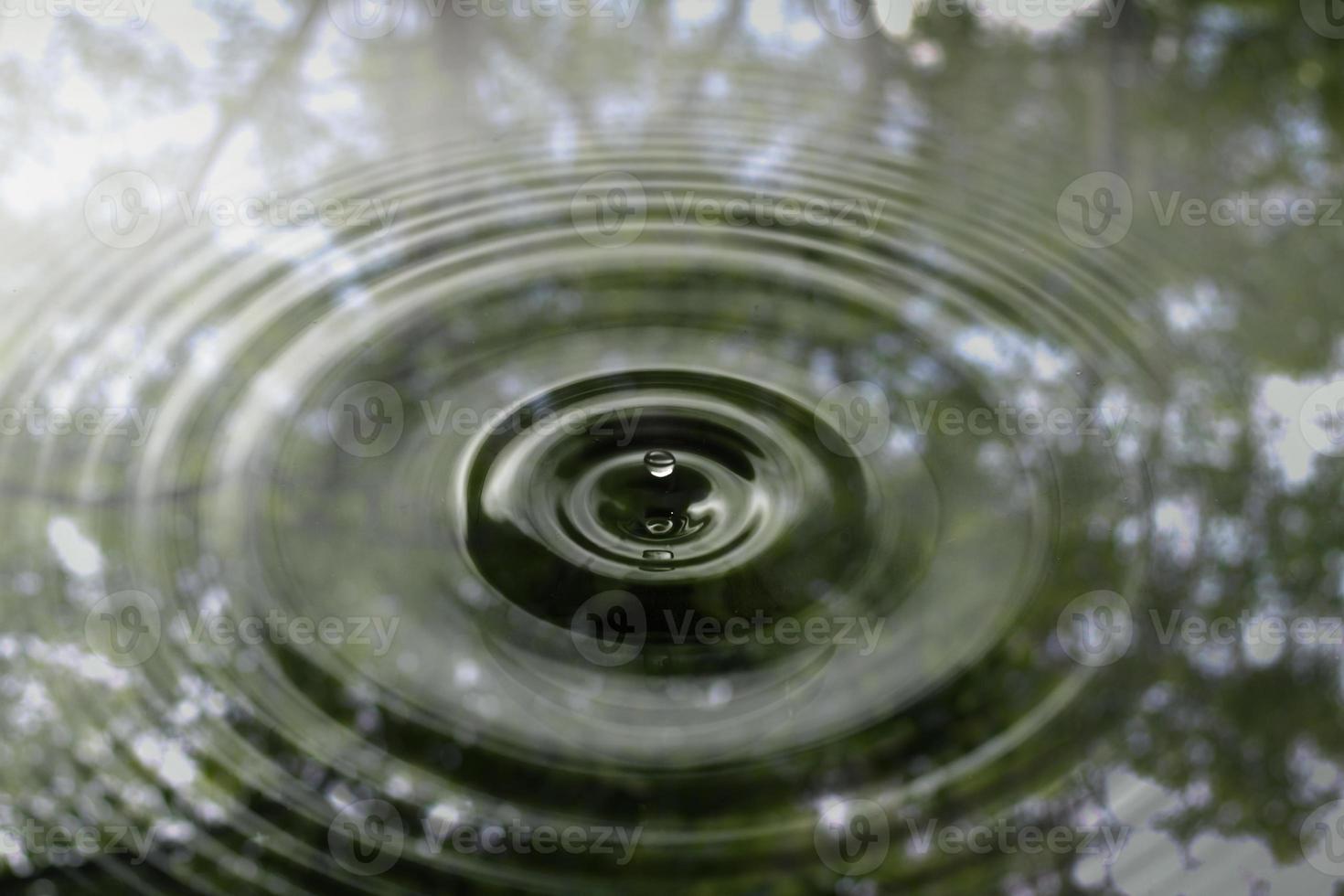 The movement of the surface of the water droplets with the shadow of the tree, the surface of the water droplets photo