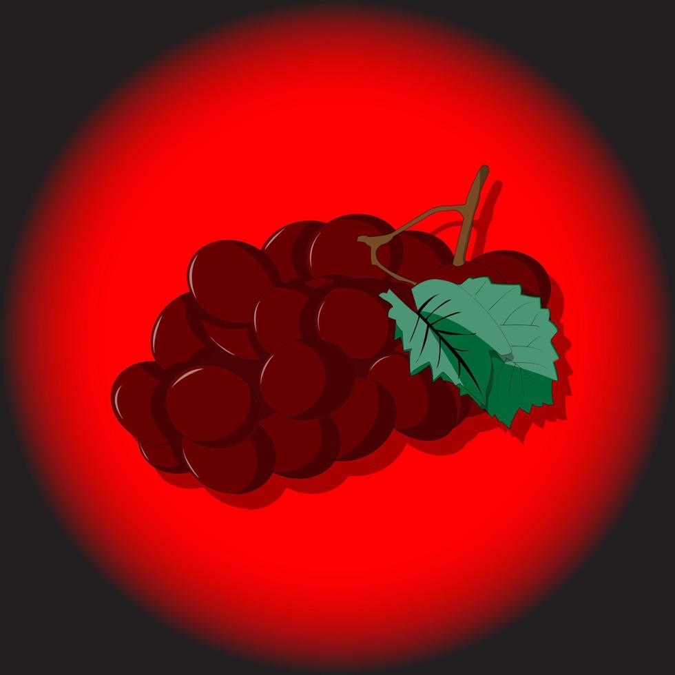 Fresh Red Grape Real Illustration Vector