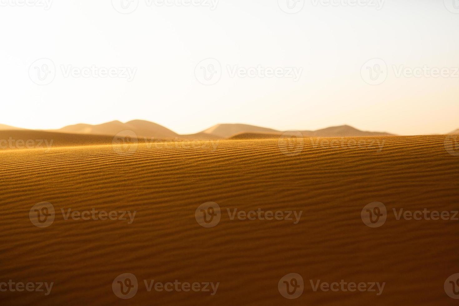 Beautiful sand dunes in the Sahara Desert in Morocco. Landscape in Africa in desert. photo