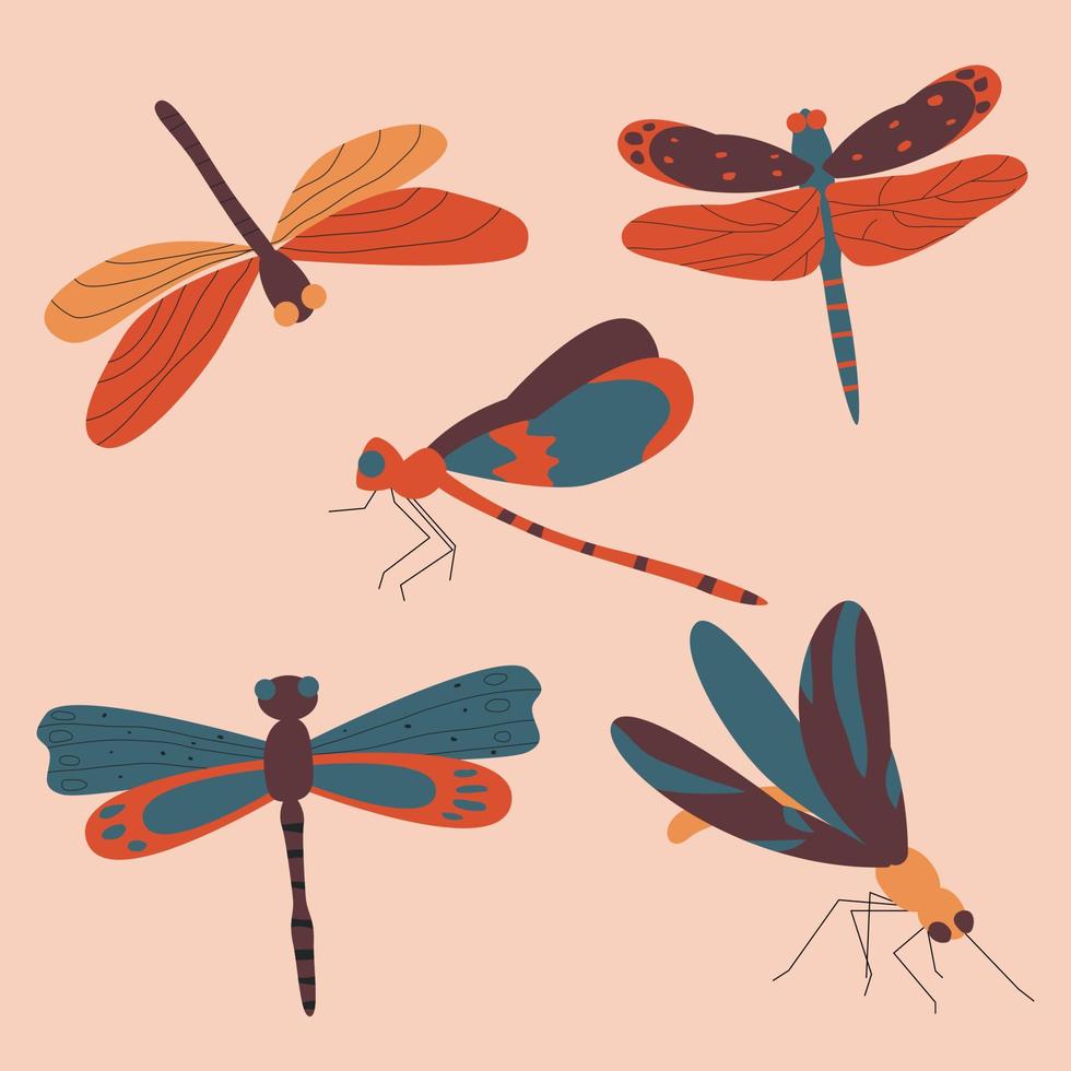 Collection of beautiful dragonflies with colorful wings. Flat vector illustration.