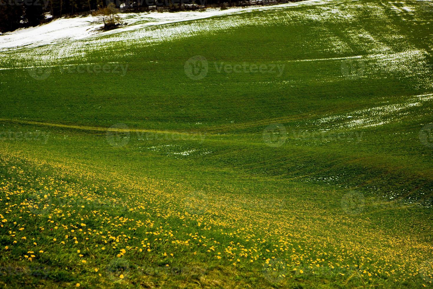 Beautiful mountain scenery in the Alps photo