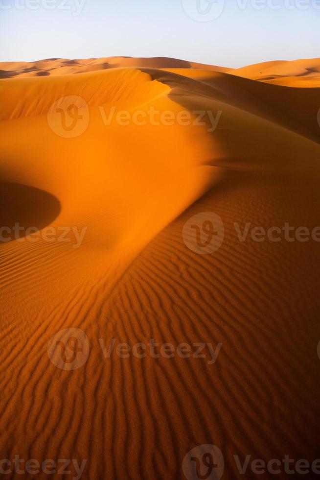 Beautiful sand dunes in the Sahara Desert in Morocco. Landscape in Africa in desert. photo