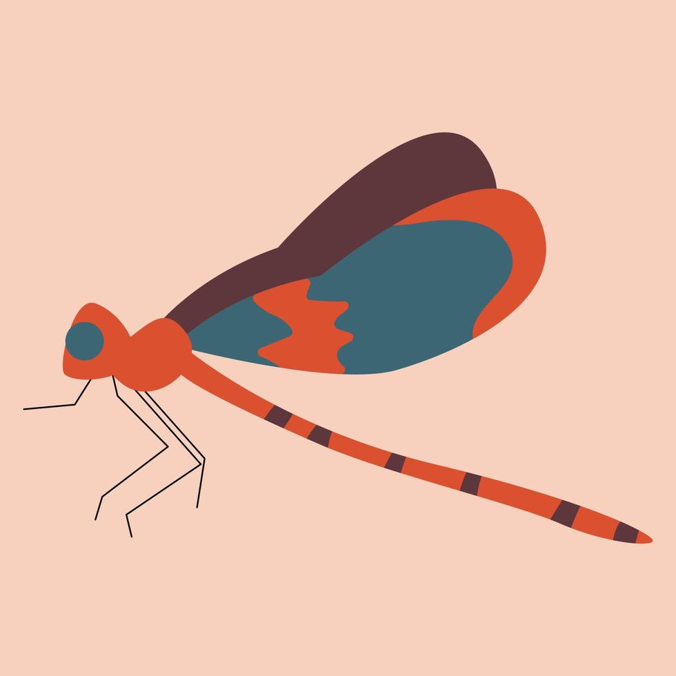 Beautiful dragonfly with colorful wings. Flat vector illustration.